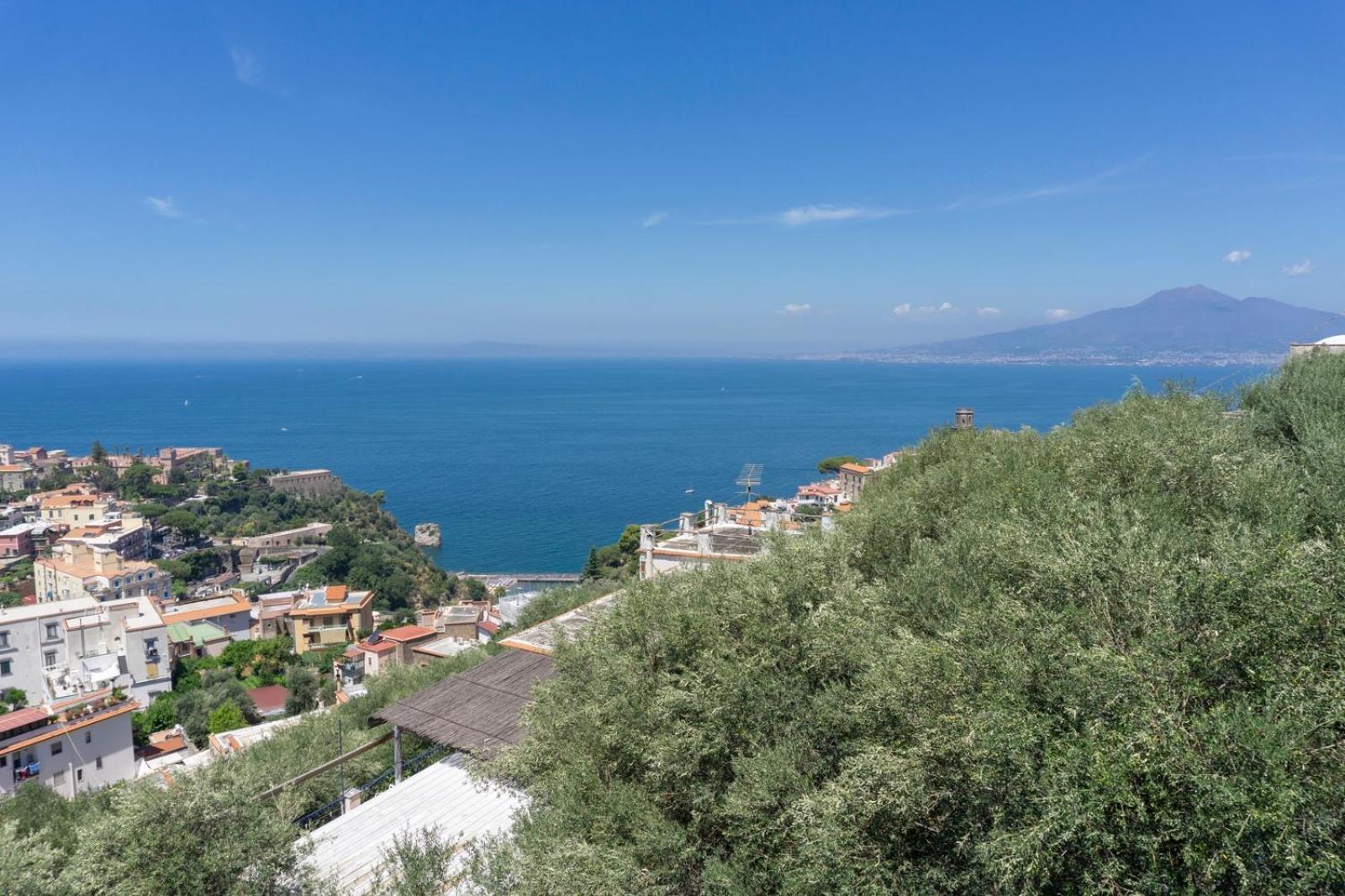 Appartamento In Villa Ariel Vico Equense Exterior photo